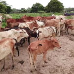 One Stop Place for all your favourite Activities in Delhi - Who Should Consider This Tour?