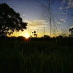 Organic Cooking Class Sigiriya TASTY TASKS - A Detailed Look at the Organic Cooking Class in Sigiriya