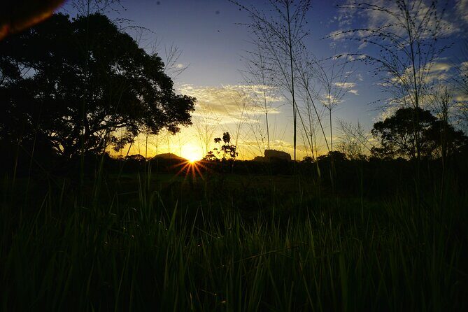 Organic Cooking Class Sigiriya TASTY TASKS - A Detailed Look at the Organic Cooking Class in Sigiriya