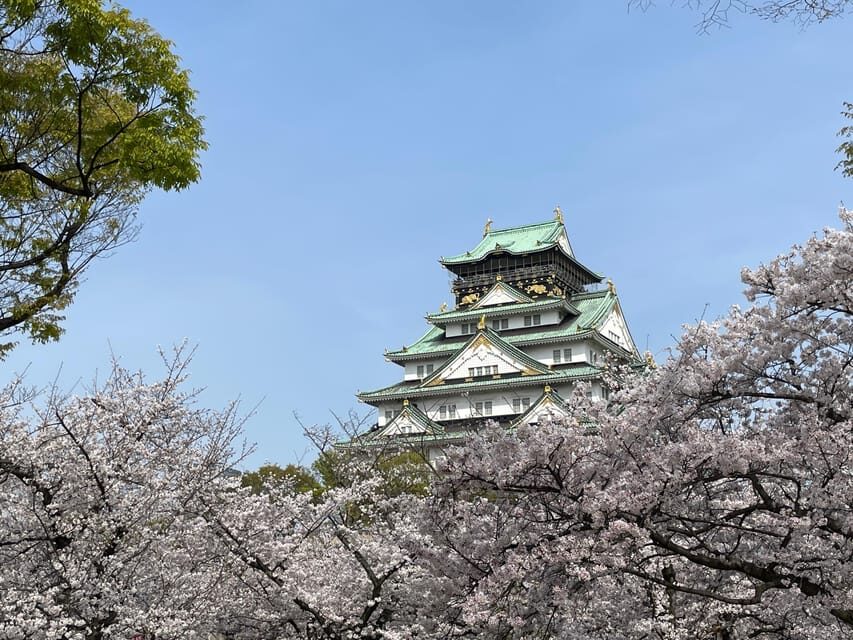 Osaka: 3-hour Osaka Castle & Historical Museum Guided Tour - The Experience of the Guides and Group Size