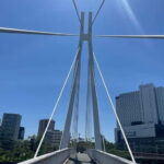 Osaka: Bike Adventure with Lunch - Practical Tips for Tour Participants