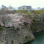 Osaka Castle 3 Hours Historical Walking Tour - What Travelers Will Appreciate