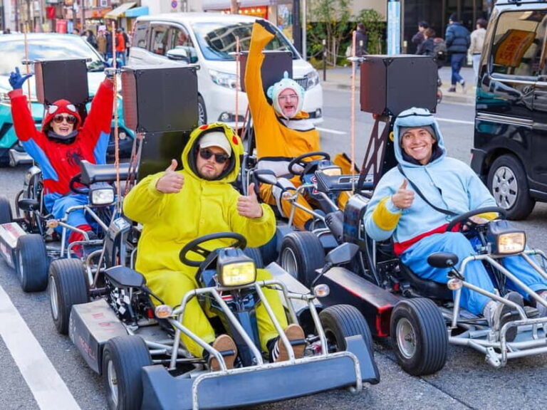 Osaka: Guided Go Karting Tour in a Funny Costume - How Does the Itinerary Unfold?