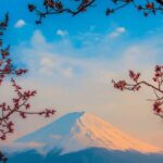 Osaka, Kyoto & Nara 5 Days Tour with Accomodation - Who Is This Tour Best For?