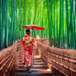 Osaka/Kyoto: Private Kyoto and Nara Day Trip - A Practical Guide to the Day Trip