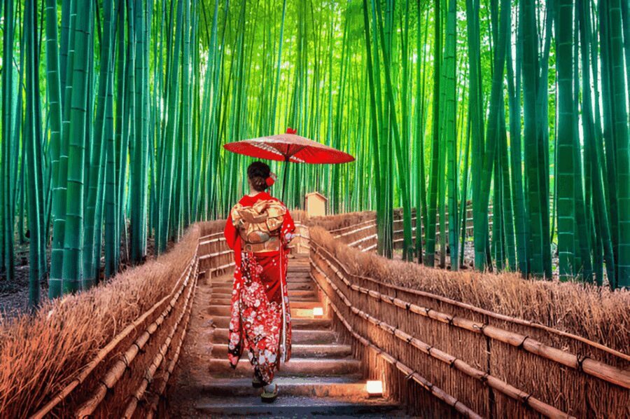 Osaka/Kyoto: Private Kyoto and Nara Day Trip - A Practical Guide to the Day Trip