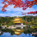 Osaka: Kyoto & Uji Historical Sites and Scenic Delights Tour - The Practicalities and What You’ll Really Experience