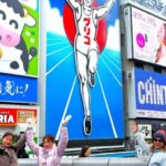Osaka: Must-See Spots & Hidden Gems 3-Hour Walking Tour - Practical Details and What to Expect