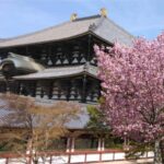 Osaka: Nara and Uji Day Trip with Deer Park and Hot Spring - Practical Considerations & Tips