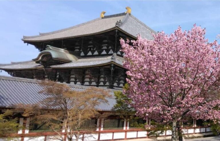 Osaka: Nara and Uji Day Trip with Deer Park and Hot Spring - Practical Considerations & Tips