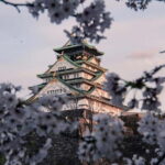 Osaka/Nara/Kyoto: Private Tour with English-Speaking Guide - Detailed Breakdown of the Itinerary