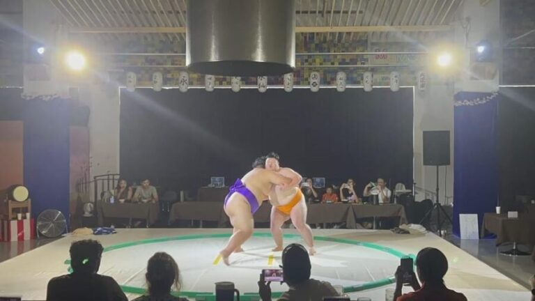 Osaka: Private Sumo Show & All Experience with Hot Pot - Who Should Consider This Tour?