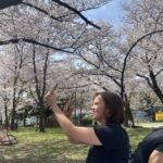 Osaka: Springtime Sakura Picnic "Hanami" - The Sum Up