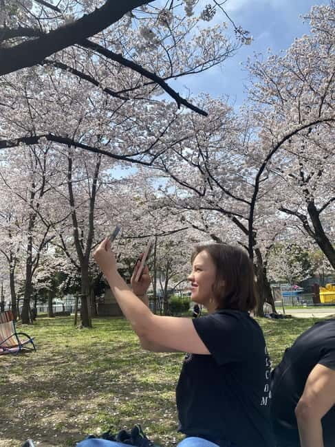 Osaka: Springtime Sakura Picnic "Hanami" - The Sum Up