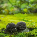 Osaka to Kyoto: Arashiyama Bamboo Grove Small Group Tour - An In-Depth Look at the Tour Experience