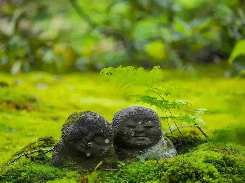 Osaka to Kyoto: Arashiyama Bamboo Grove Small Group Tour - An In-Depth Look at the Tour Experience