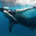 Oslob Whale Shark, Aguinid Falls & Moalboal Snorkeling - Is It Worth the Price?