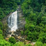 OVERNIGHT MUNNAR FROM KOCHI - The Sum Up