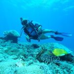 PADI Open water Course in Lembongan - Get certified & dive anywhere in the world - Why Travelers Love This Course
