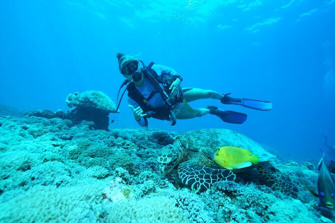 PADI Open water Course in Lembongan - Get certified & dive anywhere in the world - Why Travelers Love This Course