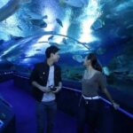Pattaya Underwater World Admission Ticket - Who Should Visit Pattaya Underwater World?