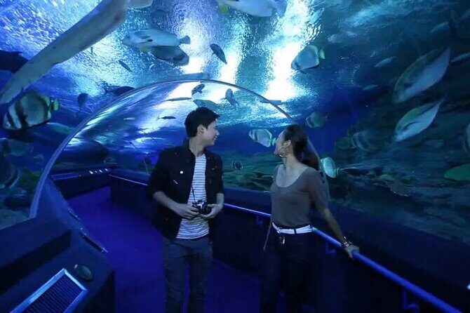 Pattaya Underwater World Admission Ticket - Who Should Visit Pattaya Underwater World?