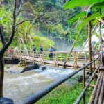 Pha Dok Siew Nature Trail & Doi Inthanon National Park From Chiang Mai - What’s Included & What to Consider