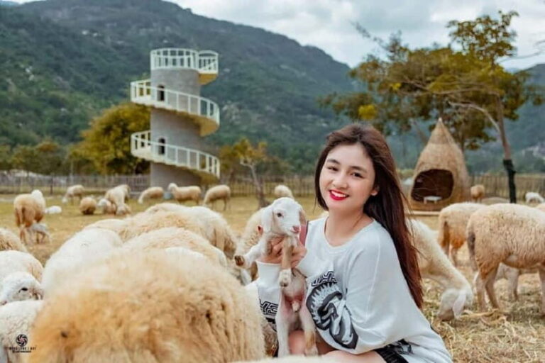 Phan Rang Full-Day: Hang Rai, Vinh Hy, Vineyard & Sheep Farm - Exploring the Itinerary