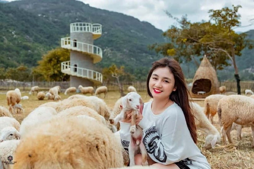 Phan Rang Full-Day: Hang Rai, Vinh Hy, Vineyard & Sheep Farm - Exploring the Itinerary