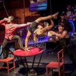 Phare: The Cambodian Circus Show with Pick up & Drop off - Who Is This Tour Best For?