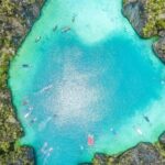 Phi Phi Islands Tour from Phuket - Monkey Beach: Playful Encounters