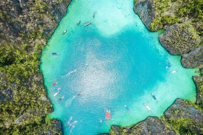 Phi Phi Islands Tour from Phuket - Monkey Beach: Playful Encounters