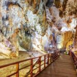 Phong Nha National Park: Paradise Cave Half-Day Tour - What to Expect on the Tour