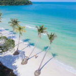 Phu Quoc: Hon Thom Cable Car & Sun World Nature Park Tour - Who Should Consider This Tour?