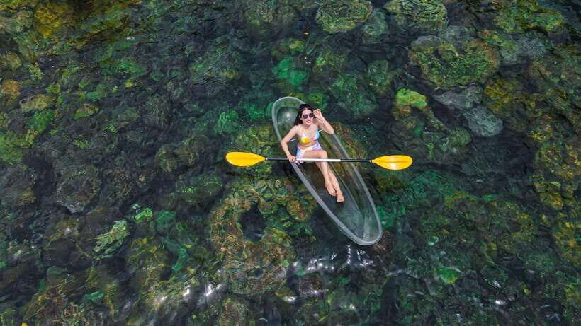 Phu Quy Stand-Up Paddle Boarding And Snorkeling Day Tour - The Value of the Experience