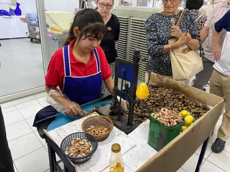 Phuket City Tour with Night Market Visit & Elephant Feeding - Practical Aspects & What To Expect