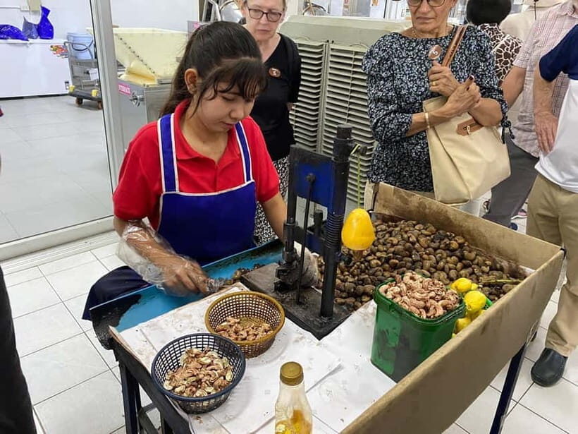 Phuket City Tour with Night Market Visit & Elephant Feeding - Practical Aspects & What To Expect