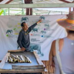 Phuket: Elephant Sanctuary Feed and Bathe Gentle Giants - The Practicalities: What You Should Know