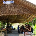 Phuket: Elephant Sanctuary Guided Tour with Hotel Transfers - The Sum Up