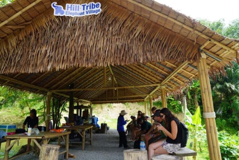 Phuket: Elephant Sanctuary Guided Tour with Hotel Transfers - The Sum Up