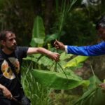 Phuket: Guide Tour to Patong Elephant Sanctuary - The Experience from the Reviewer’s Perspective