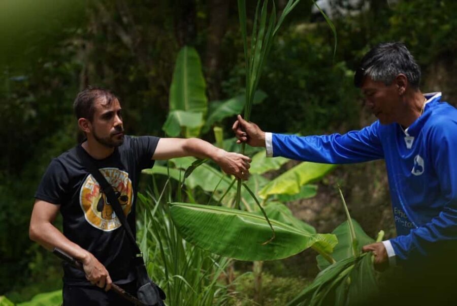 Phuket: Guide Tour to Patong Elephant Sanctuary - The Experience from the Reviewer’s Perspective