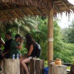 Phuket: Guided Tour to Elephant Sanctuary & Hotel Transfer - Authentic Insights From Reviewers