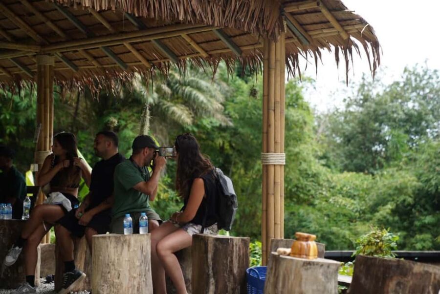 Phuket: Guided Tour to Elephant Sanctuary & Hotel Transfer - Authentic Insights From Reviewers