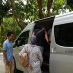 Phuket : Guided Tour to Elephant Sanctuary with Transfers - Transportation and Practicalities