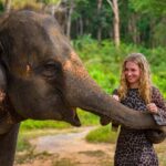 Phuket: Make & Meet The Gentle Giant Experience - Why This Tour Works