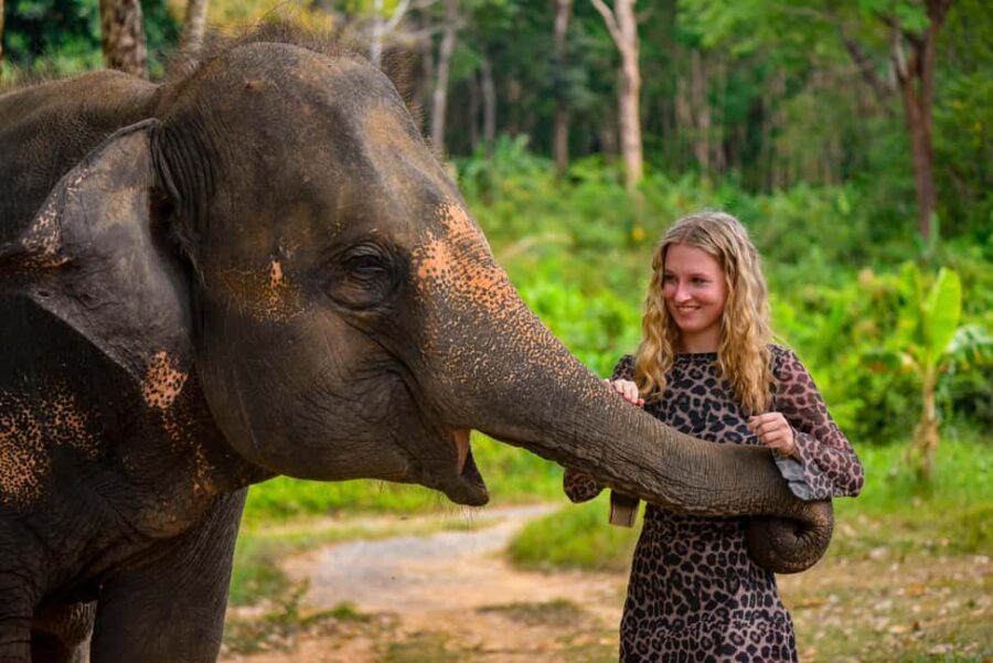 Phuket: Make & Meet The Gentle Giant Experience - Why This Tour Works