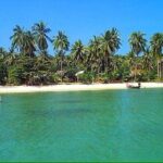 Pig Island ,Snorkeling, Private Long Tail Boat (Local Thai Experience) - What’s Included and What’s Not