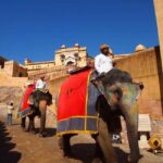 Pink City of Rajasthan, Jaipur Exclusive Tour (02 Days) - Itinerary Breakdown: What You’ll Experience