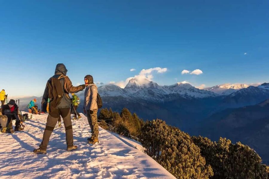 Pokhara: 2-Day Ullerai, Ghorepani & Poon Hill - Sunrise Trek - Transportation and Logistics